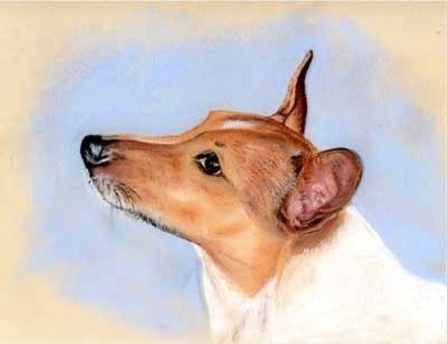 pepsi in pastels